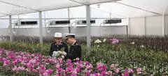 “花经济”展新“颜” “颜值”变“产值